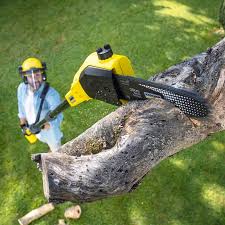 Best Lawn Irrigation Installation and Maintenance  in Weed, CA